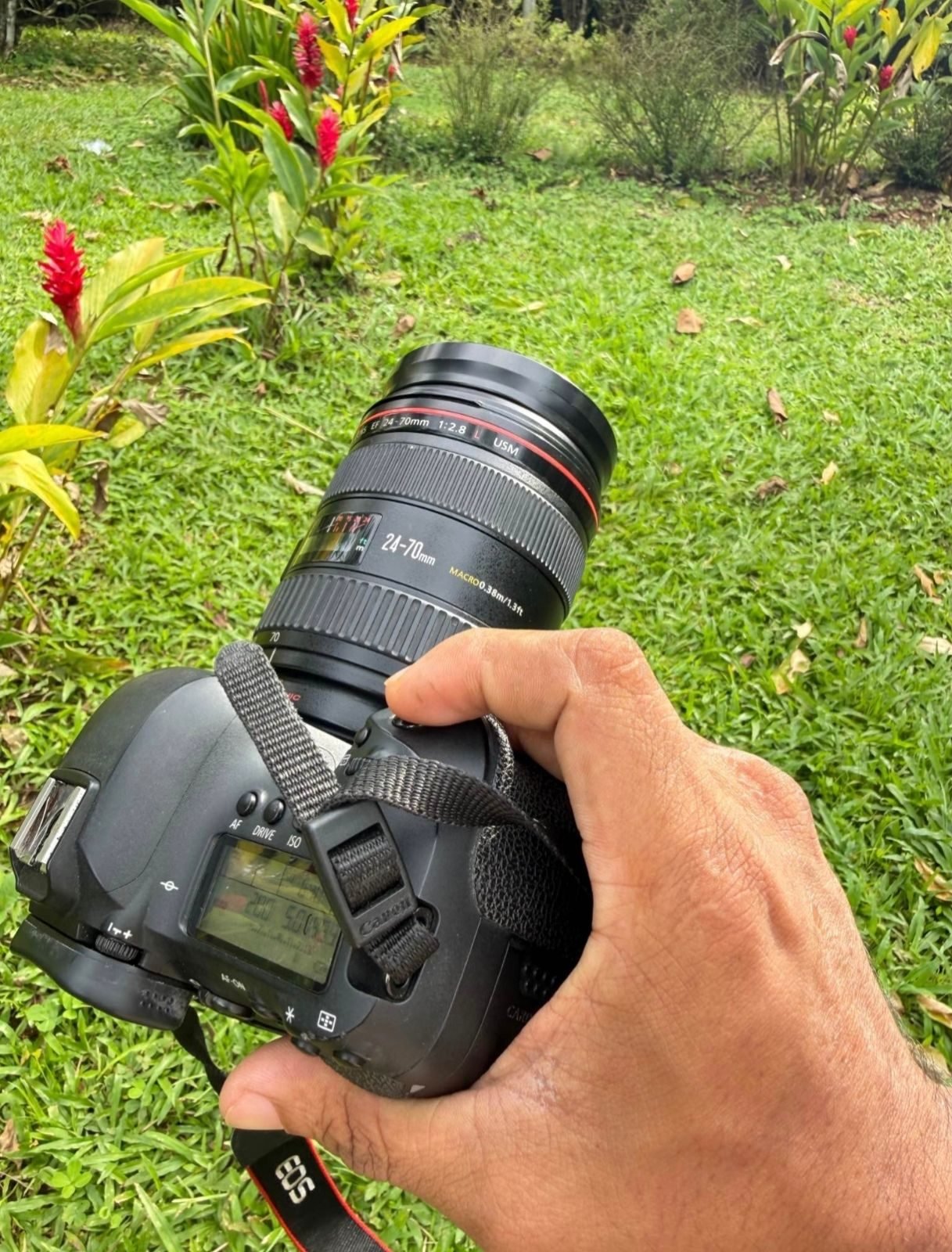 cámara CANON EOS 6D MARK II - foto 2