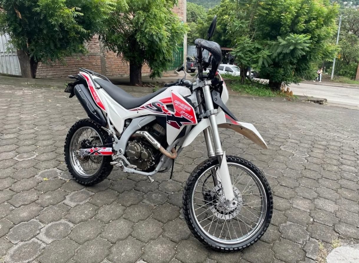 Génesis Sx3 250, Año 2026 - foto 5