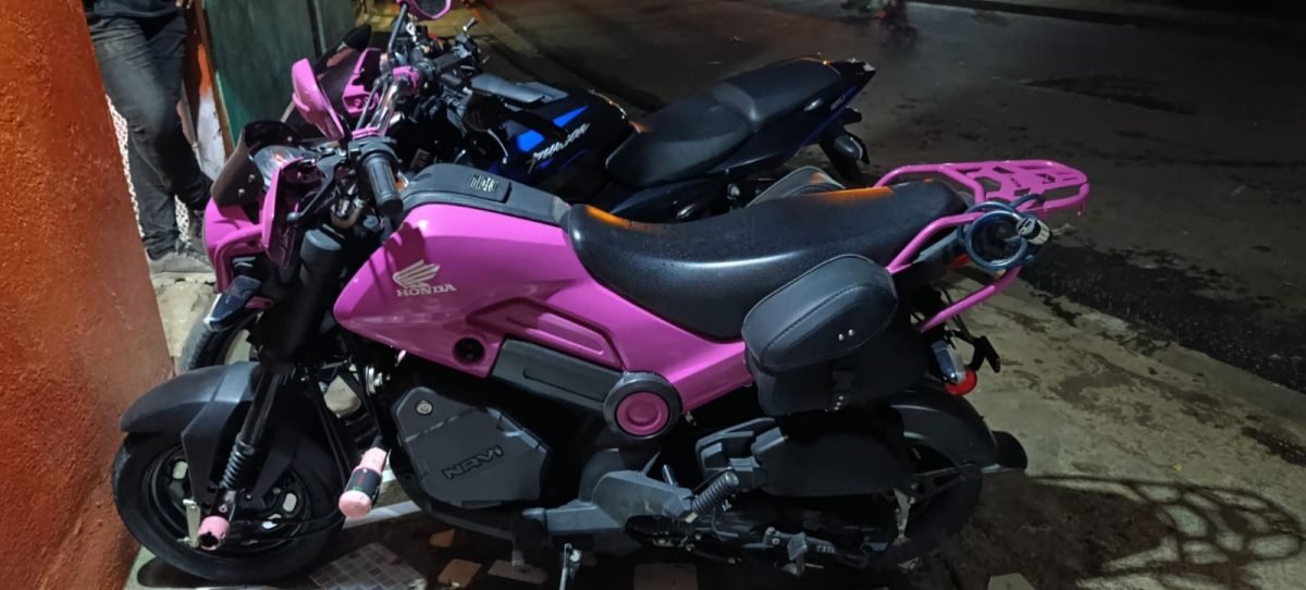 Honda Navi Rosada - foto 2