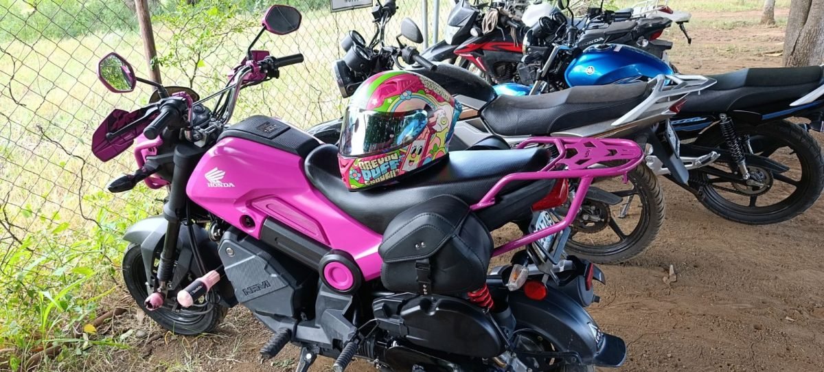 Honda Navi Rosada - foto 3