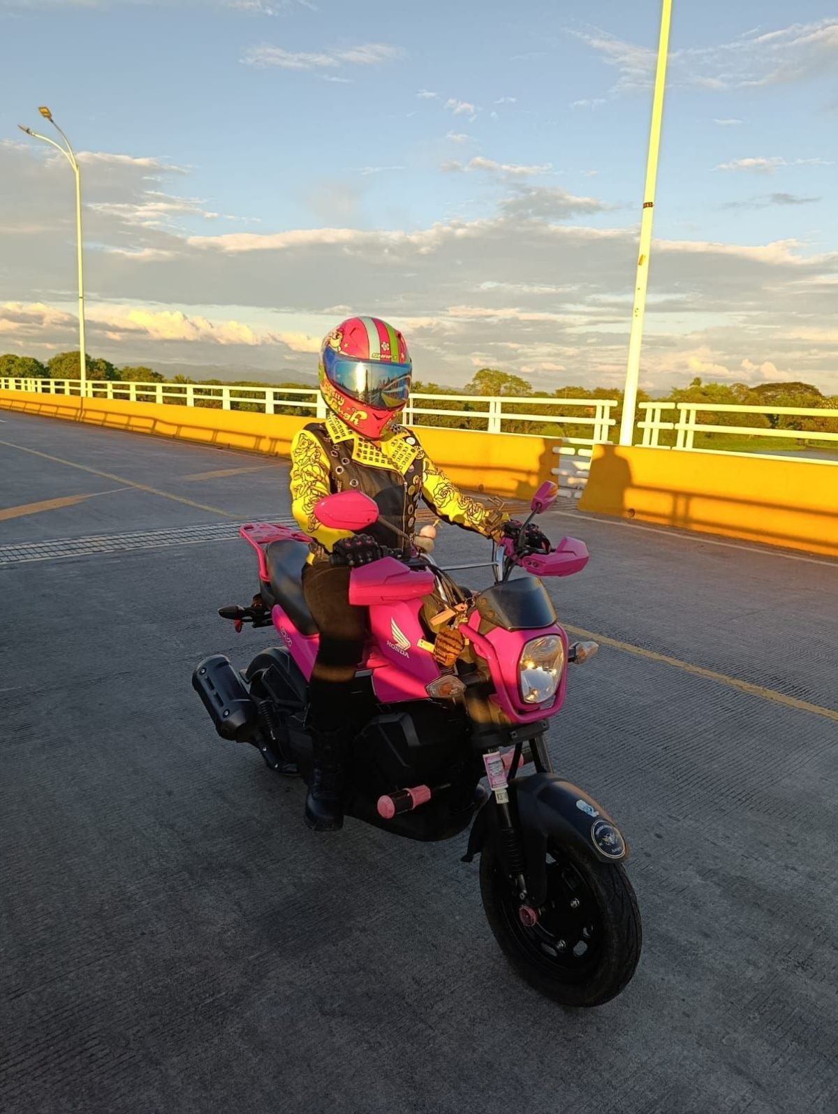 Honda Navi Rosada - foto 4