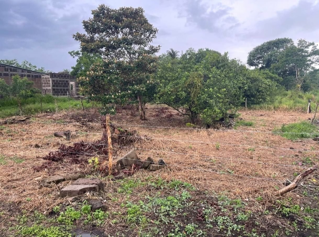 Terreno en venta en santo Tomás chontales - foto 2