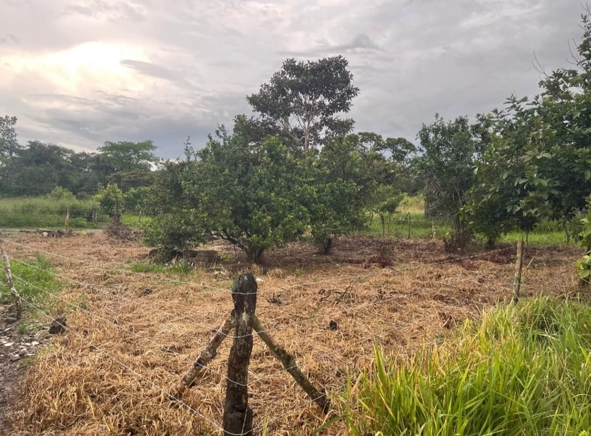 Terreno en venta en santo Tomás chontales - foto 3
