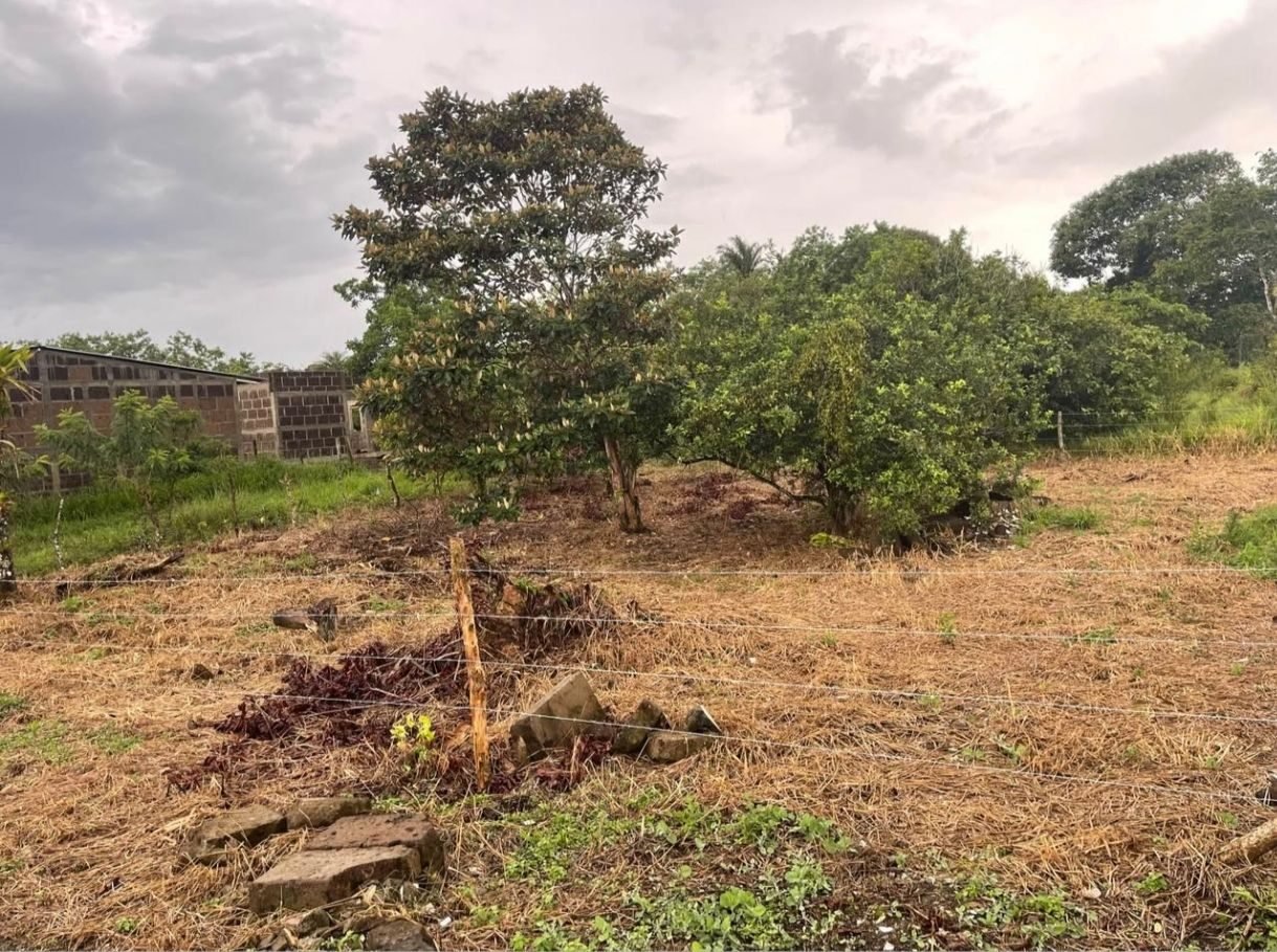 Terreno en venta en santo Tomás chontales - foto 4