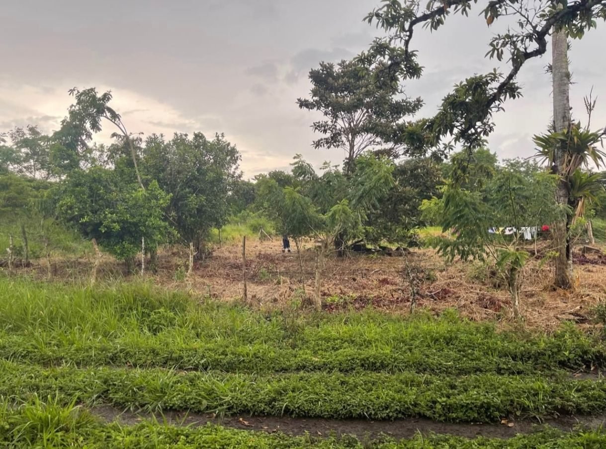 Terreno en venta en santo Tomás chontales - foto 5