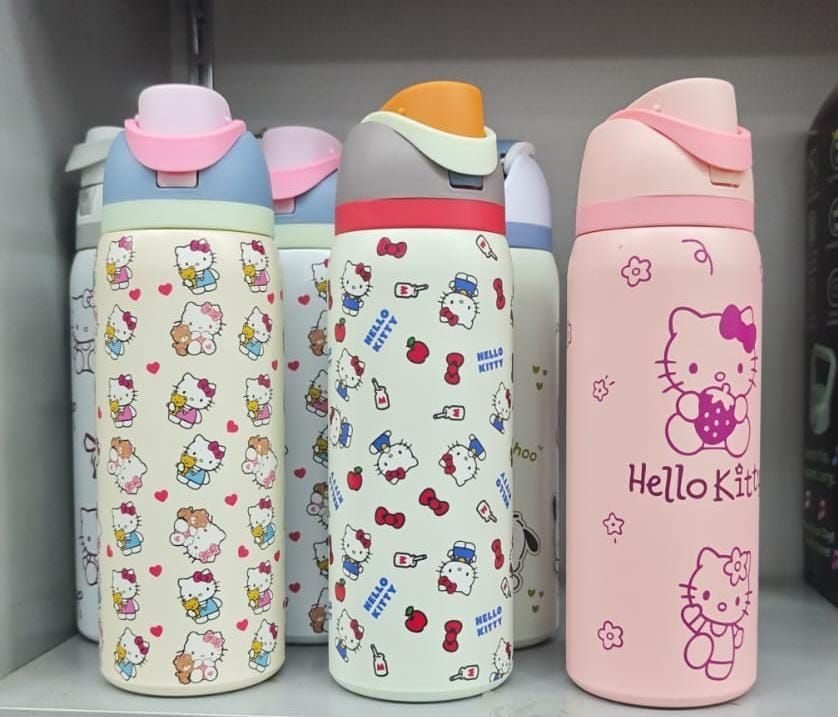 TERMOS HELLO KITTY EN VENTA 6 diseños diferentes, nuevos en caja. Mantienen frío y caliente, no se derraman.  Envío por CargoTrans.  ¿De dónde sos? Te aparto el que te guste.