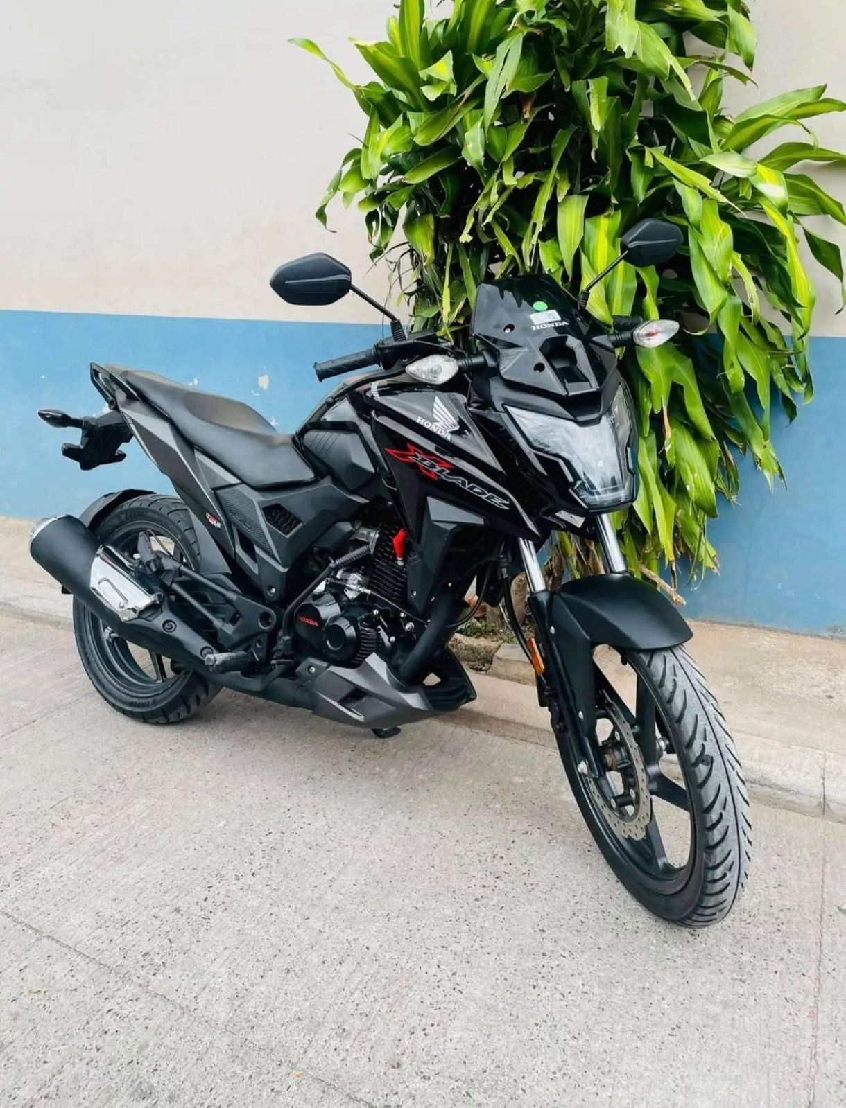 MOTOS SEMI-NUEVAS CRÉDITO DISPONIBLE - foto 4