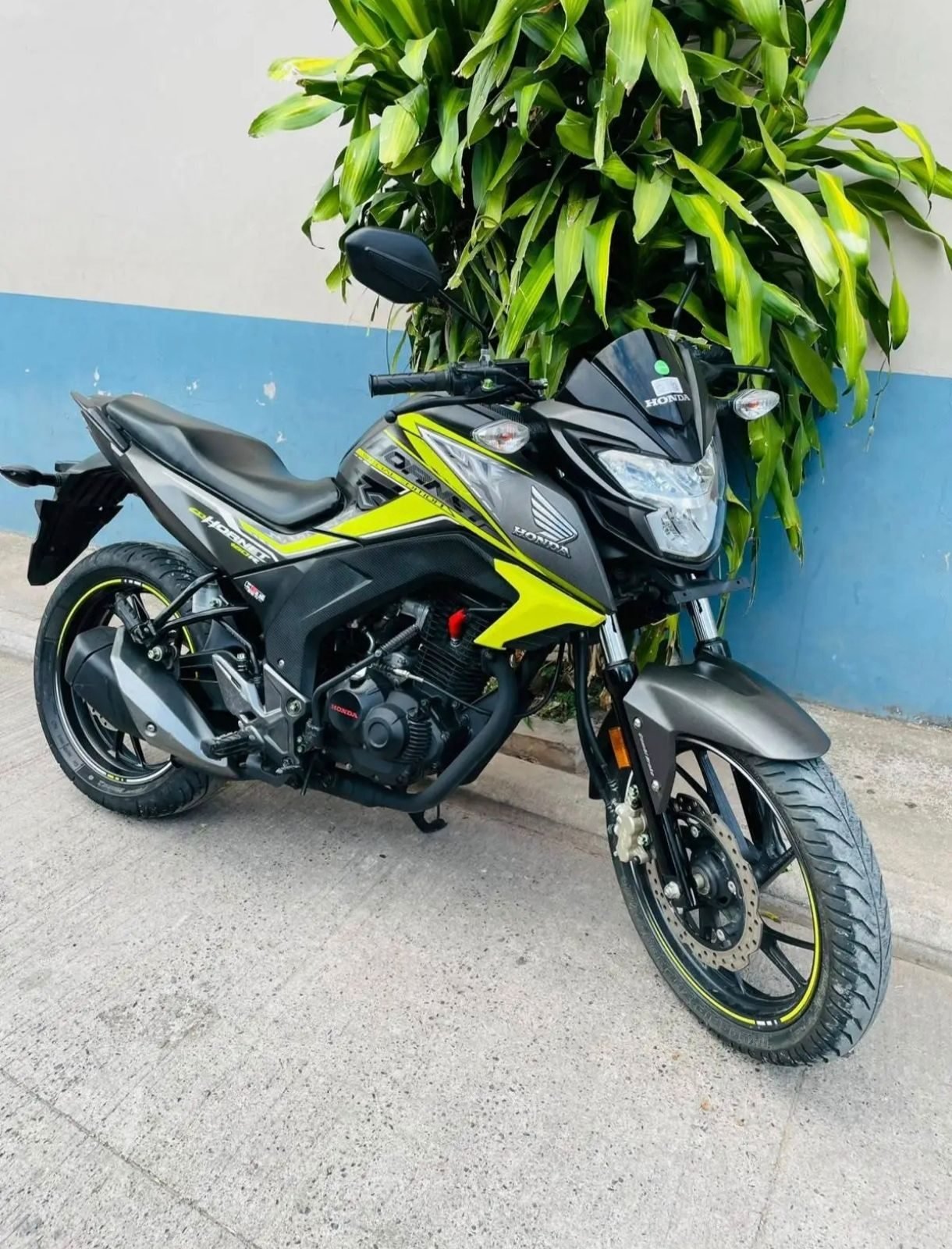MOTOS SEMI-NUEVAS CRÉDITO DISPONIBLE - foto 5