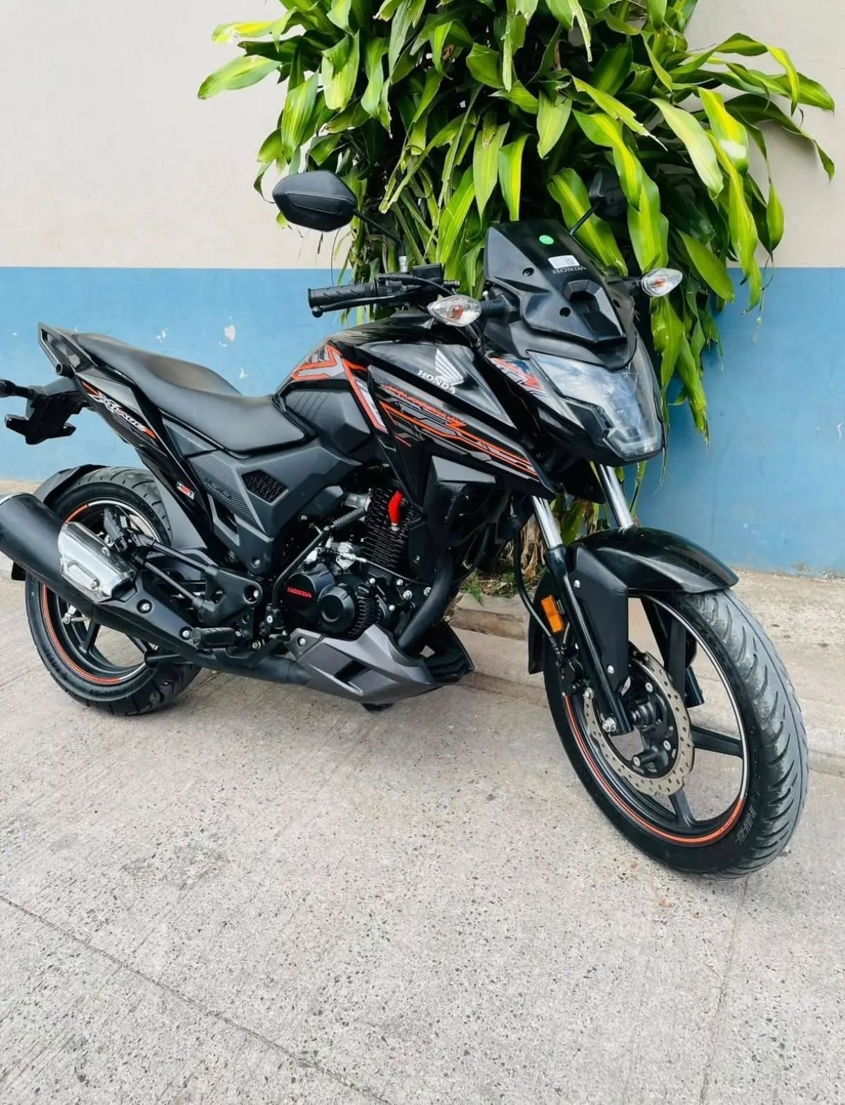 MOTOS SEMI-NUEVAS CRÉDITO DISPONIBLE - foto 6